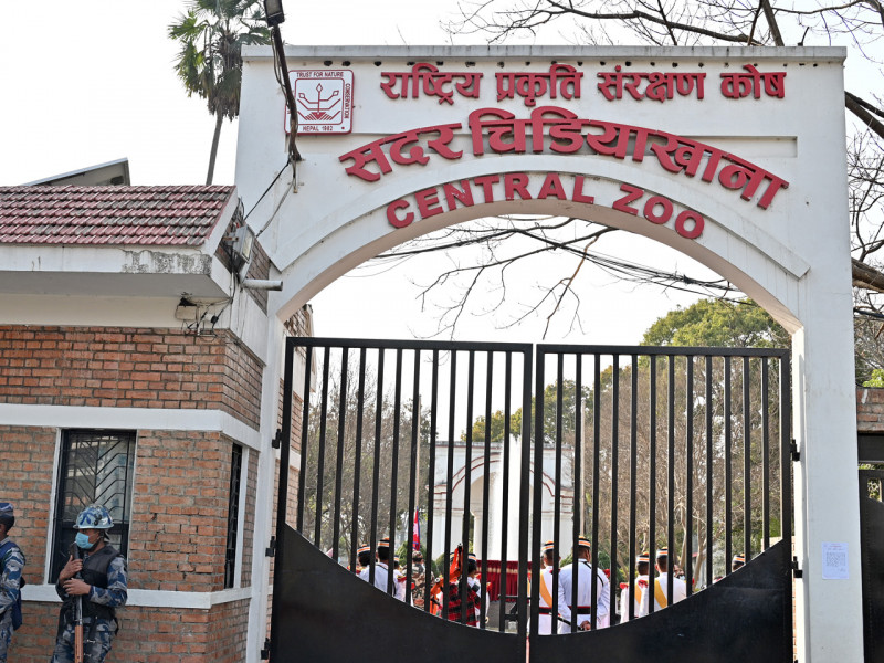 चिडियाखाना अवलोकन गर्ने बढे